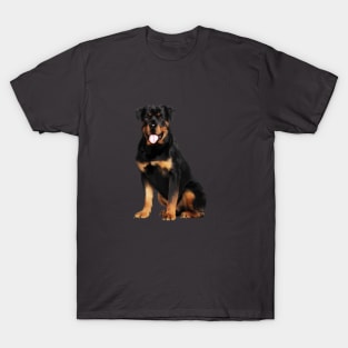 Rottweiler Dog, Dog Lover T-Shirt